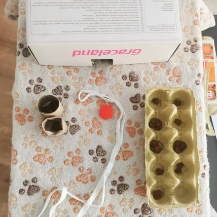 Fummelbrett für Katzen selber machen