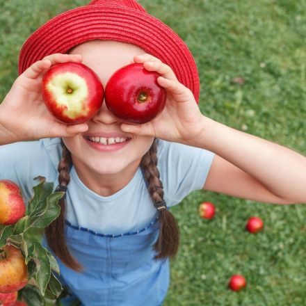 "Warum haben Äpfel eine Schale?"