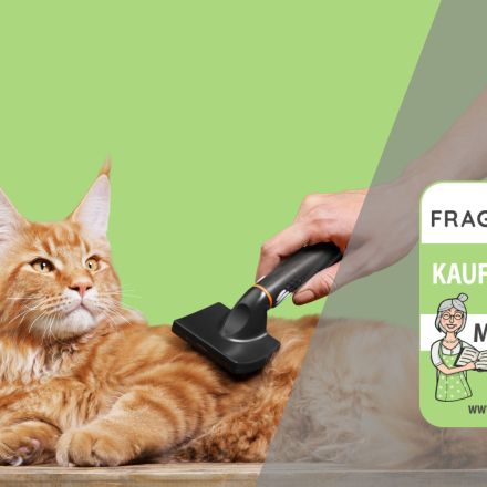 Katzenbürsten Test & Vergleich: 3 günstige Empfehlungen