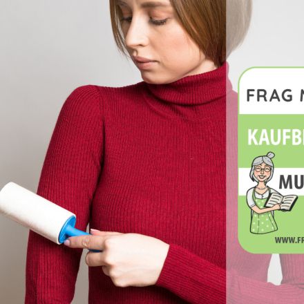 Katzenhaarentferner Test & Vergleich: 5 günstige Empfehlungen