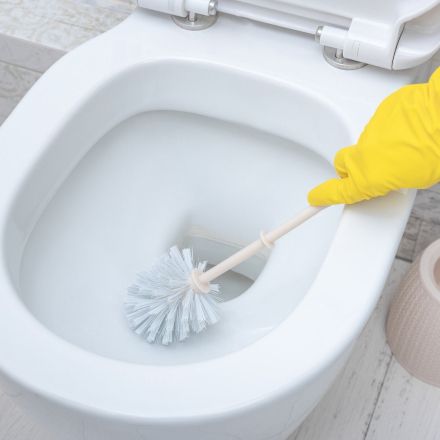 Toilette reinigen mit Gebissreiniger