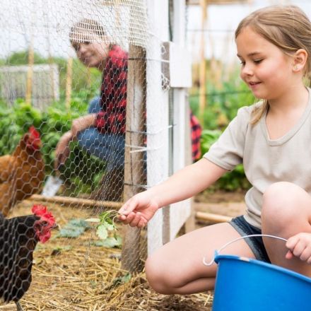 „Was war zuerst da, Huhn oder Ei?“