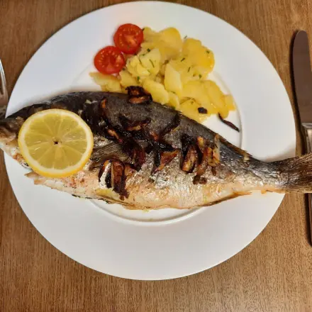 Dorade im Backofen