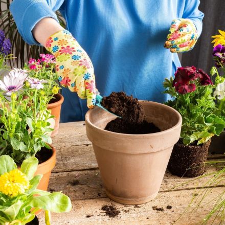 Pflegeleichte Balkonpflanzen – Die richtige Wahl für Sonne & Schatten