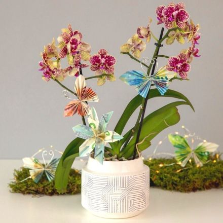 Kreative Geldgeschenke für jeden Anlass - DIY Ideen