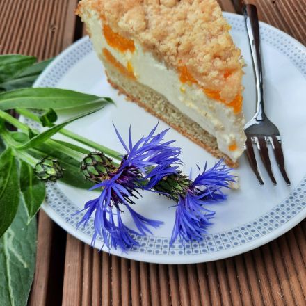 Mandarinen-Käsekuchen mit Streusel