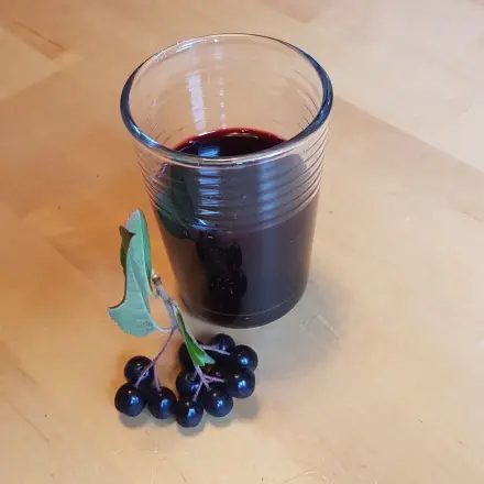 Rotwein und Weißwein beim Kochen ersetzen