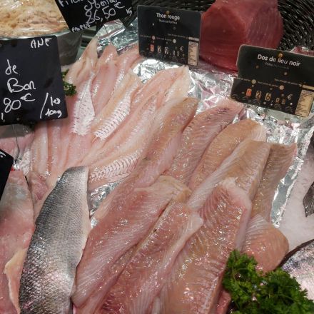 Frischen Fisch beim Einkauf erkennen