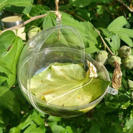 DIY - Wasserstelle für Vögel und Insekten