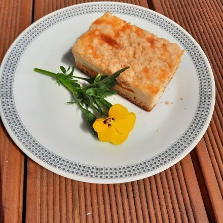 Aprikosen-Käse-Schmand-Kuchen mit Streusel