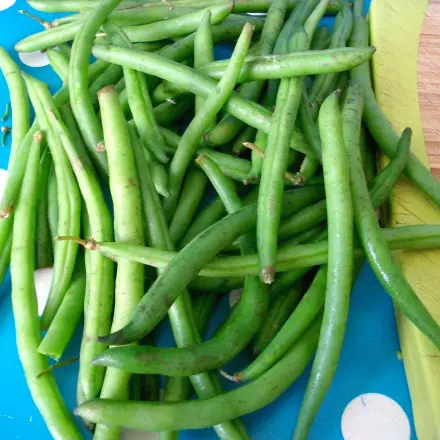 Buschbohnen schnell von Stielenden befreien