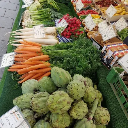 Ideen für Lebensmittelreste – Sparsam und lecker