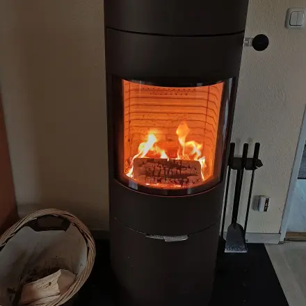 Winter-Asche versorgt Sommerblumen