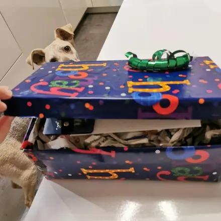 Tipps für mehr Nachhaltigkeit