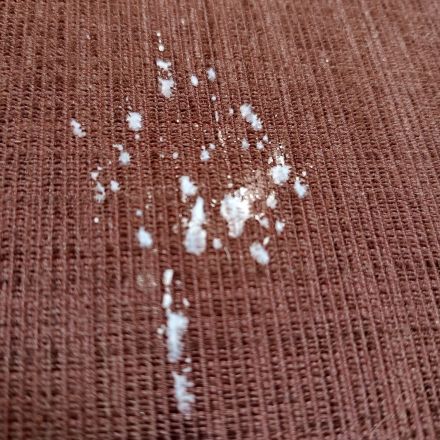 Kerzenwachs aus Stoff entfernen – schnell und kinderleicht