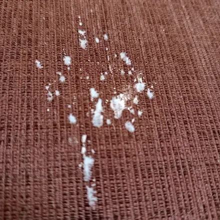 Kerzenwachs aus Stoff entfernen – schnell und kinderleicht