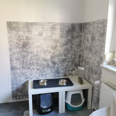 Katzenecke günstig selber gestalten