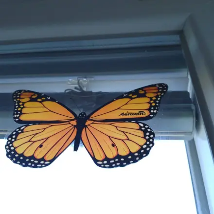 Fliegen und Stechmücken im Haus in Schach halten