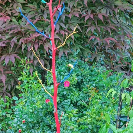 DIY Gartendeko: Äste mit Acryl bemalen