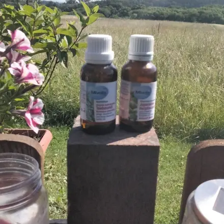 Nacktschnecken fernhalten mit Pfefferminz- und Teebaumöl