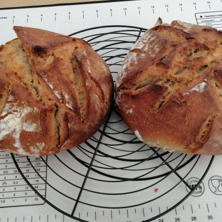 Sauerteigbrot ohne Hefe selber backen - einfach & knusprig