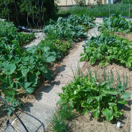 Tiefkulturbeet anlegen: Planung und Umsetzung