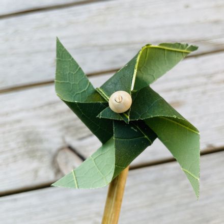 Windrad selber basteln – DIY Anleitung mit Baumblatt