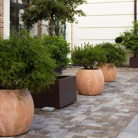 Erdflecken von Terrassenplatten entfernen