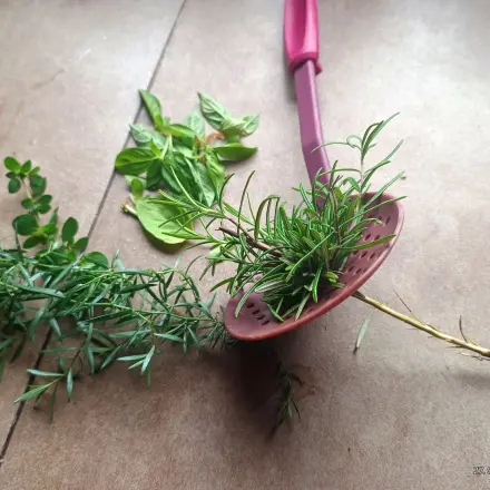 Kräuter sekundenschnell vom Stiel entfernen