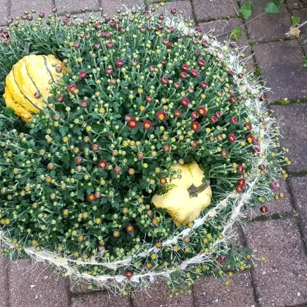Herbstliches Blumenarrangement mit Chrysanthemen