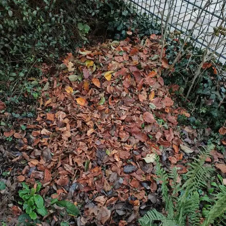 Herbstliche Laubhaufen - Überlebenshilfe nicht nur für Igel