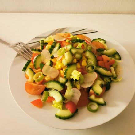 Bunter Salat mit Radieschen und Frühlingszwiebeln