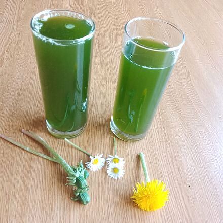 Kräuterwasser selber machen – Frühjahrskur