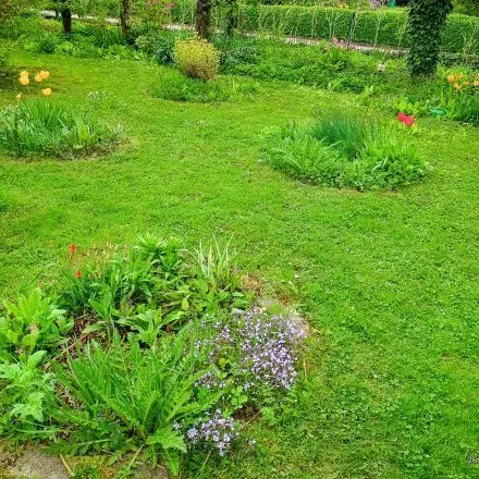 Blumeninseln im Garten anlegen – so belebst du triste Rasenflächen