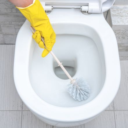 Toilette mit Hausmitteln reinigen – Anleitung und Tipps