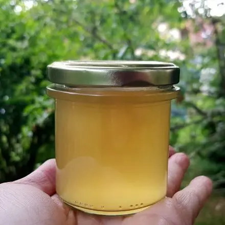 Holunderblütengelee mit Apfelsaft