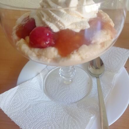 Stachelbeer-Kompott mit Vanillepudding