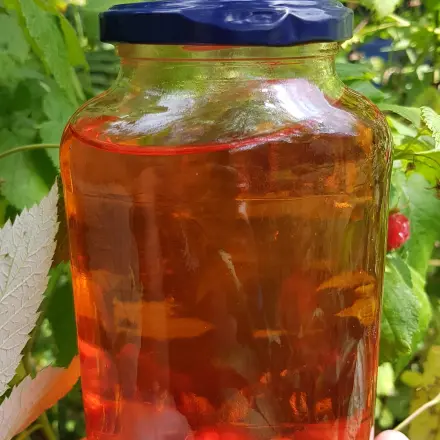 Himbeeressig selbst machen