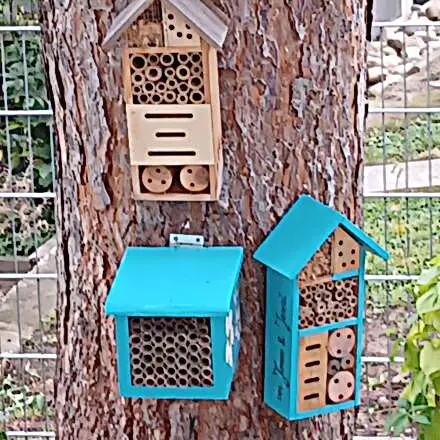 Insektenhotel streichen & Röhren erneuern – DIY
