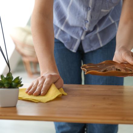 Richtig Staubwischen – Anleitung & Tipps