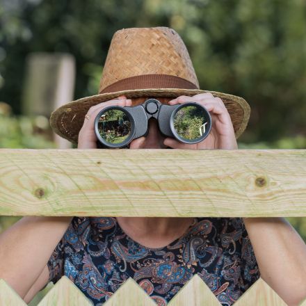 Sichtschutz zum Nachbarn – was ist erlaubt?