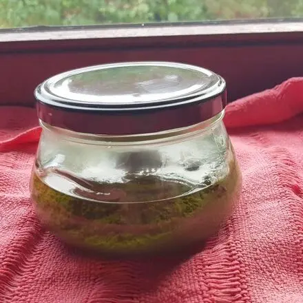 Brennnnessel-Pesto selber machen