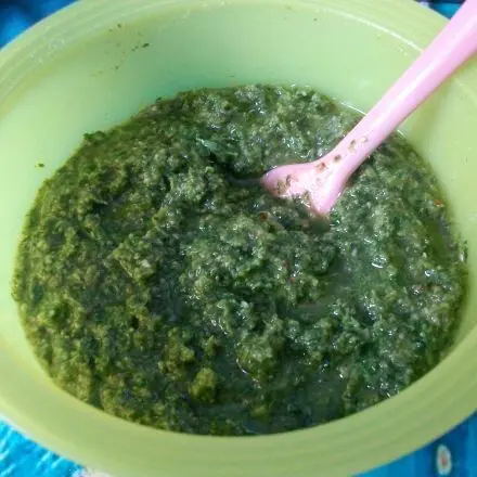 Möhrengrün-Pesto mit Haselnüssen