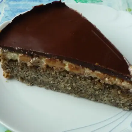 Mohnkuchen mit Schoko-Guss