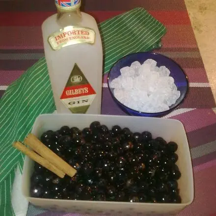 Schlehen-Gin