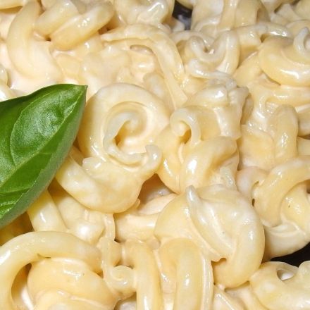 Fertigsaucen für Nudeln