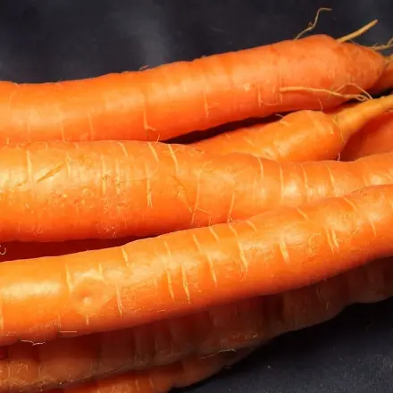 Möhrengemüse der leckeren Art