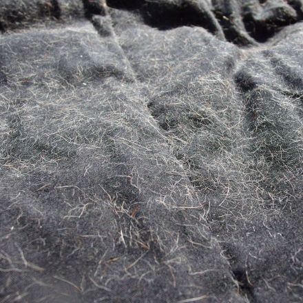 Tierhaare und andere Fussel auf Kleidung: Wasser