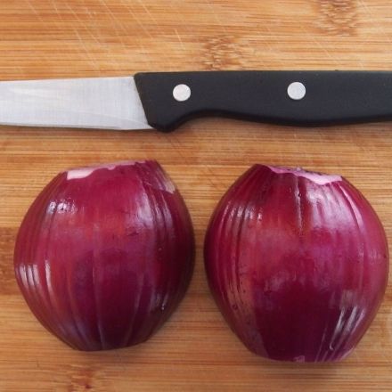 Zwiebeln gegen Wespenstiche