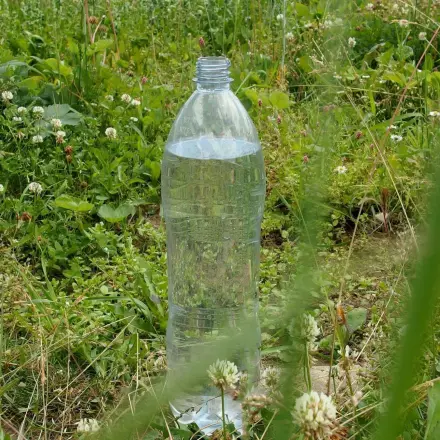 Katzen mit Wasserflaschen fernhalten